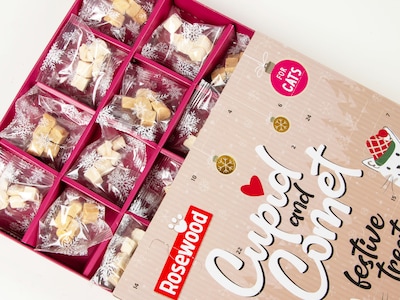 Cupid & Comet Luxury Kattkalender