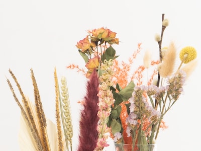 tørkede blomster