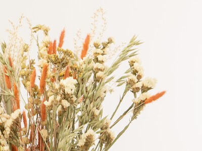 tørkede blomster