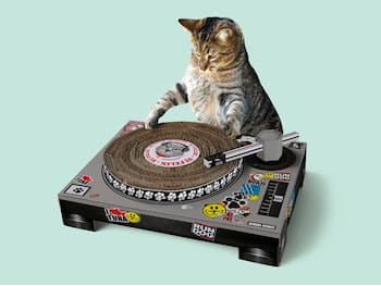 Kratzbrett Plattenspieler Für Katzen