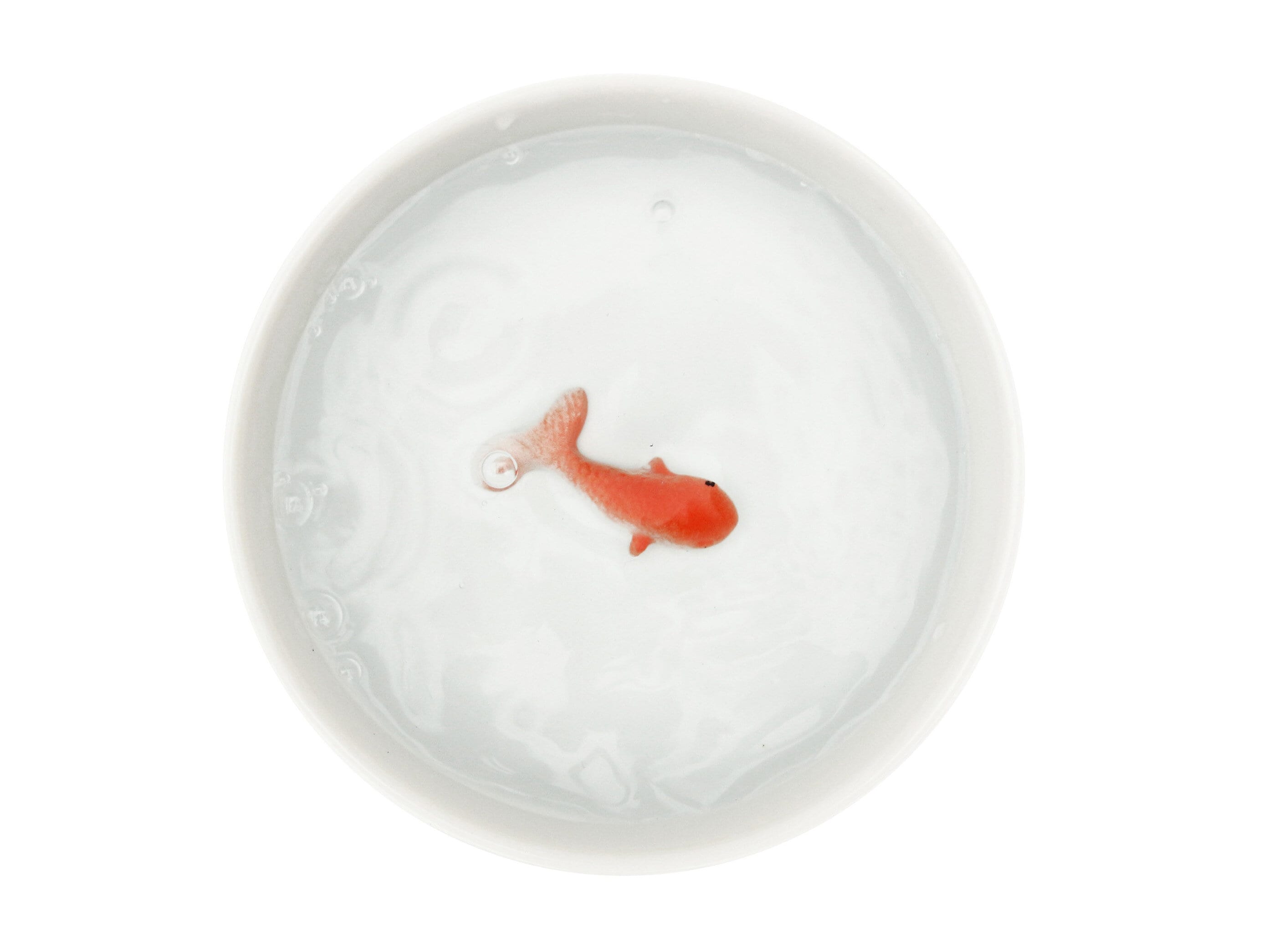 vattenskål till katt