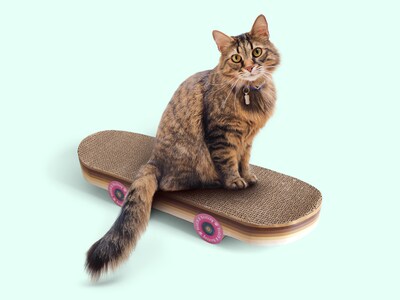 Køb 🎁 Skateboard Kradsebræt til Kat ➡️ Online på