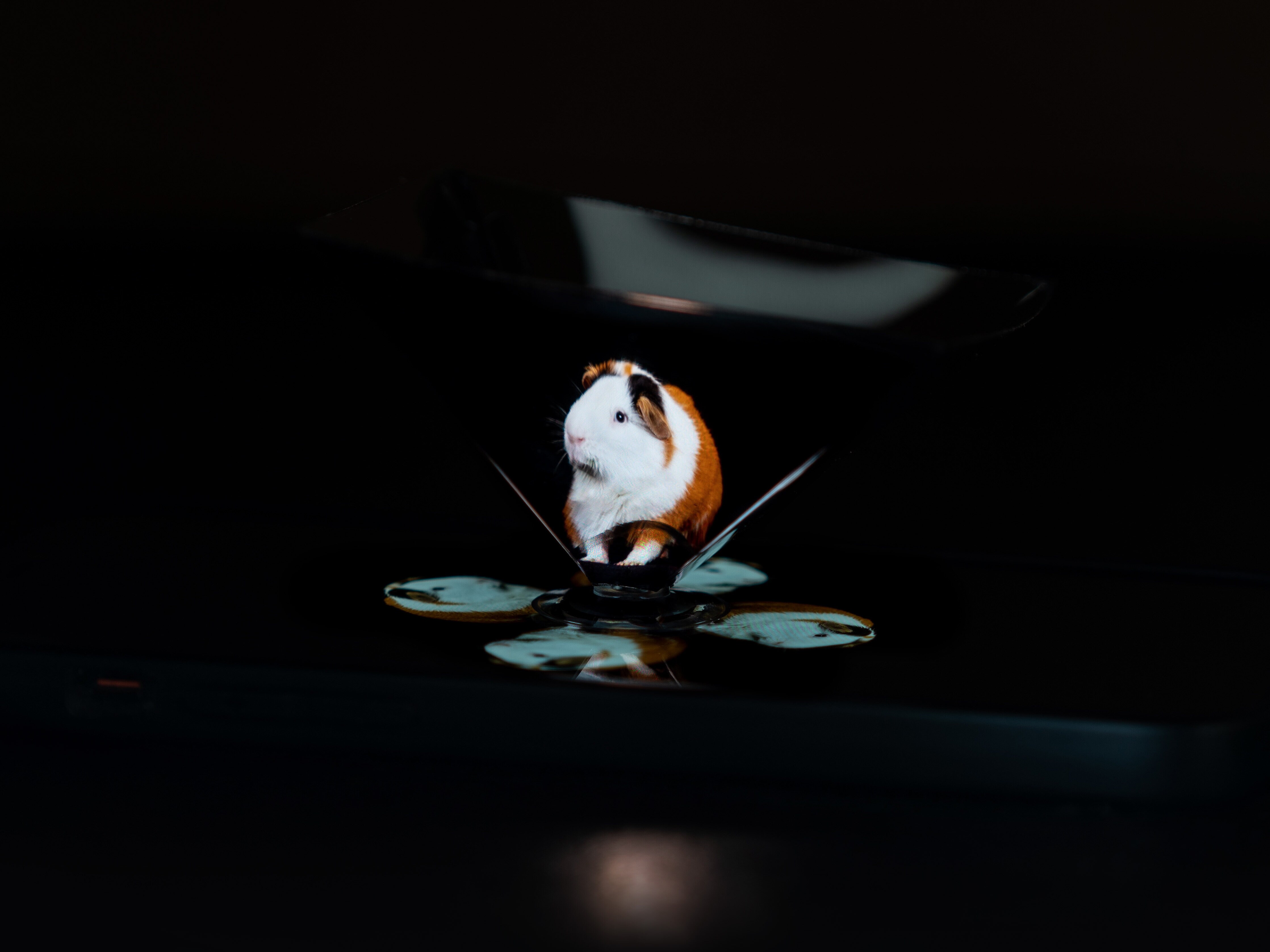 hologram mobiltelefon