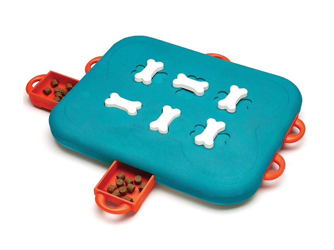 aktiivinen lelukoira