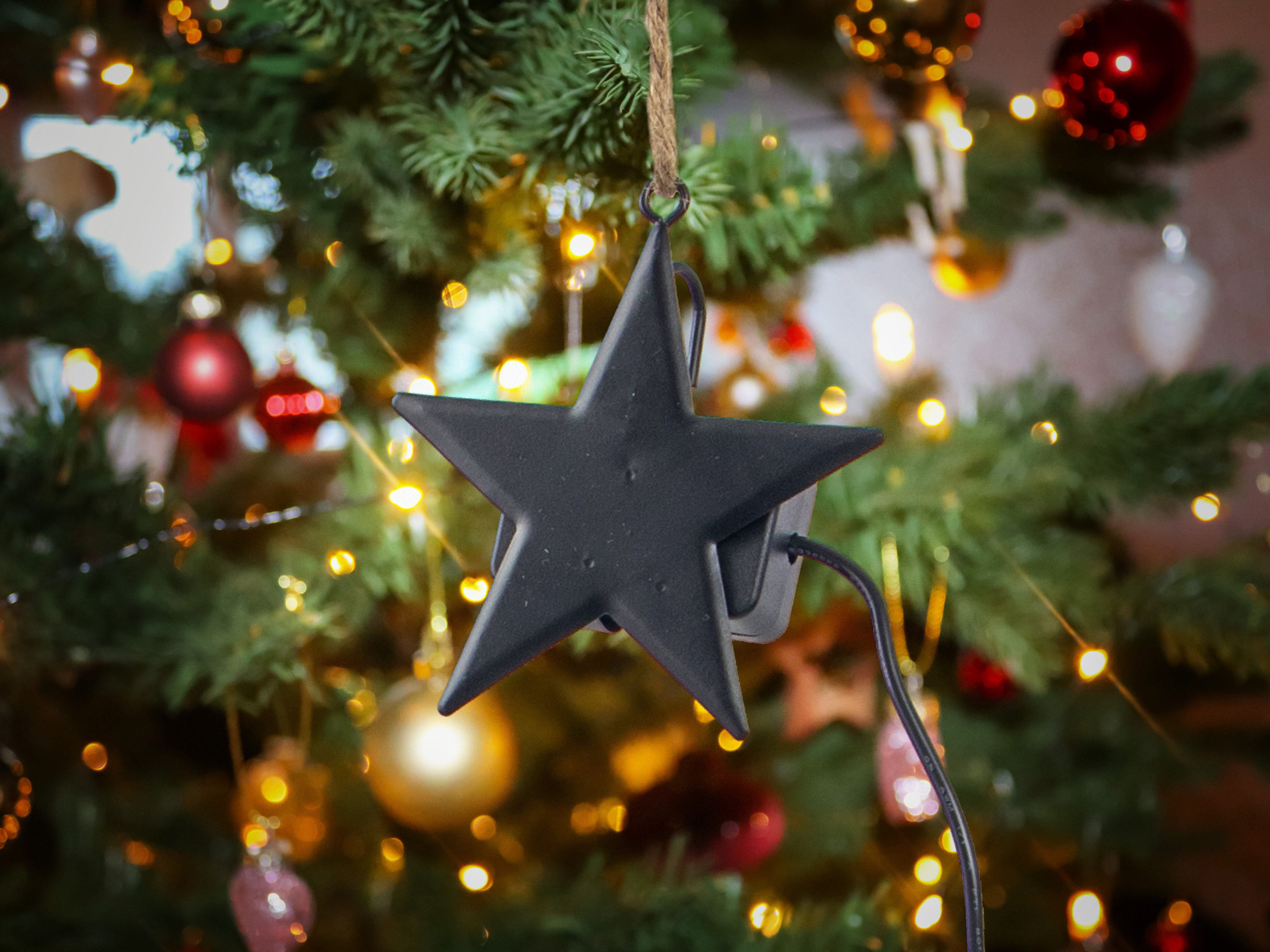 joulukuusen vesianturi