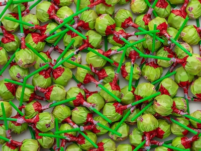 bland-selv slik i kasser