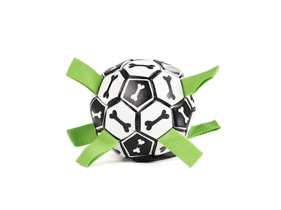 hundfotboll