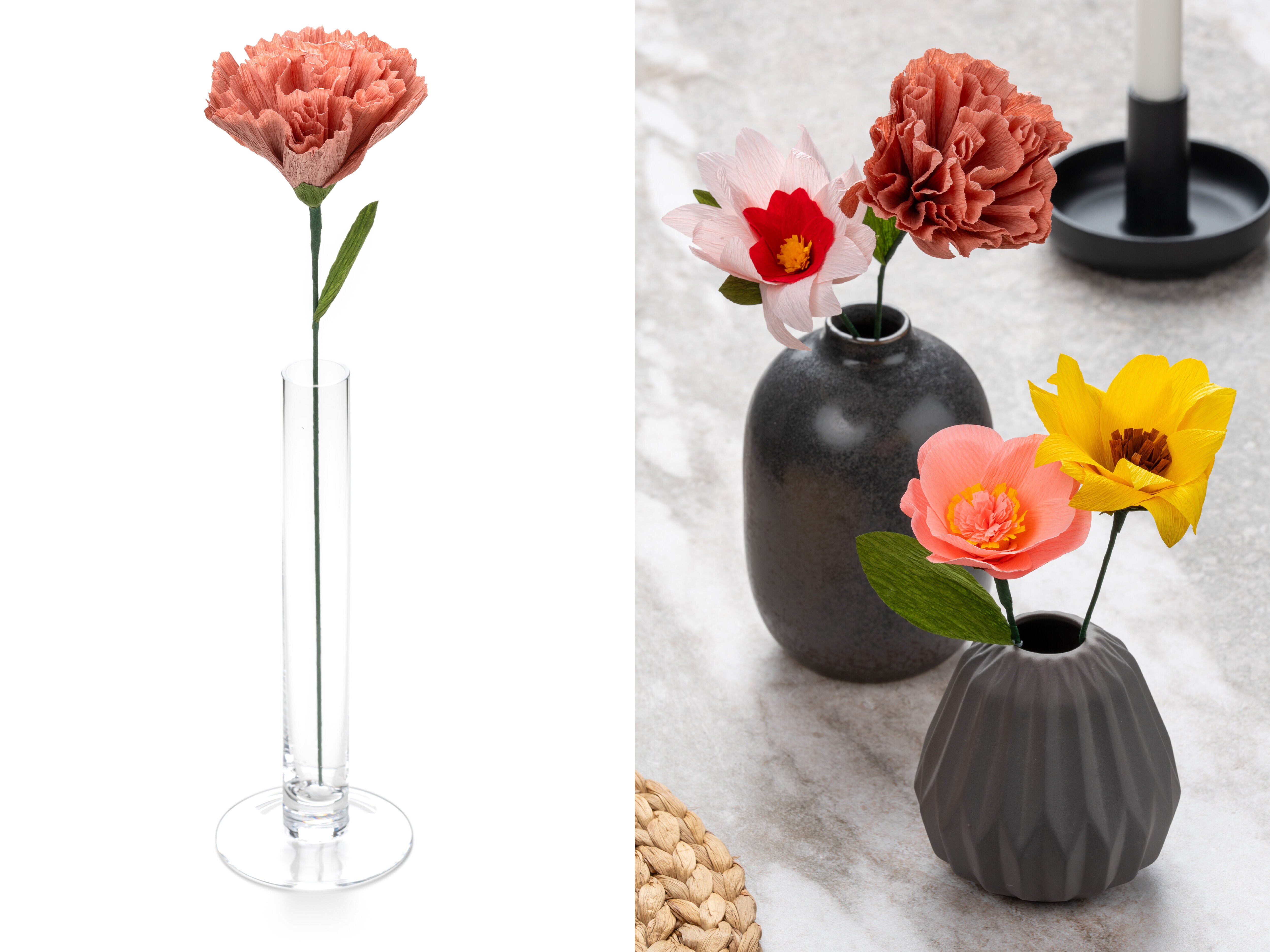 Pappersblomma - Pion