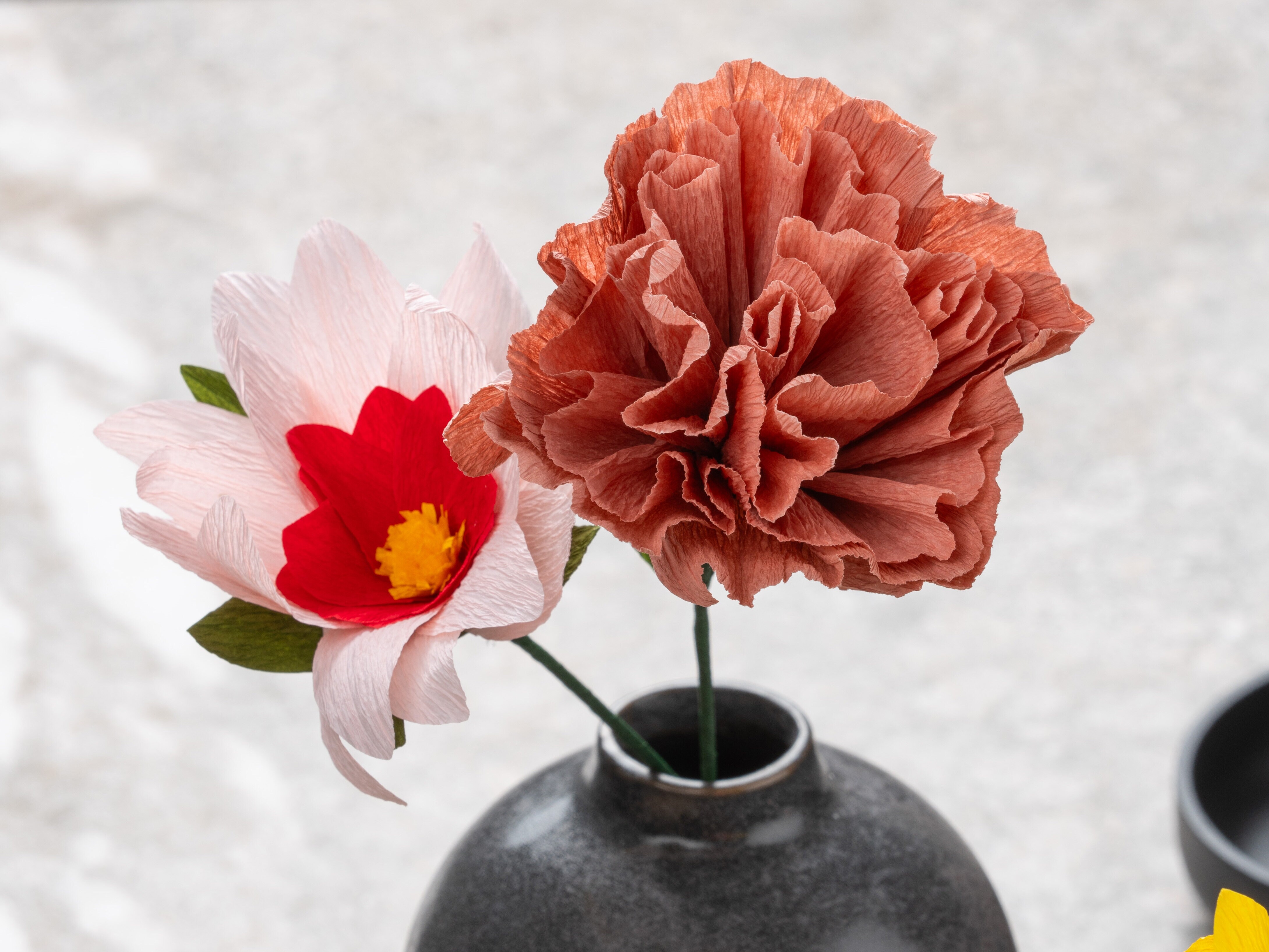 Pappersblomma - Pion