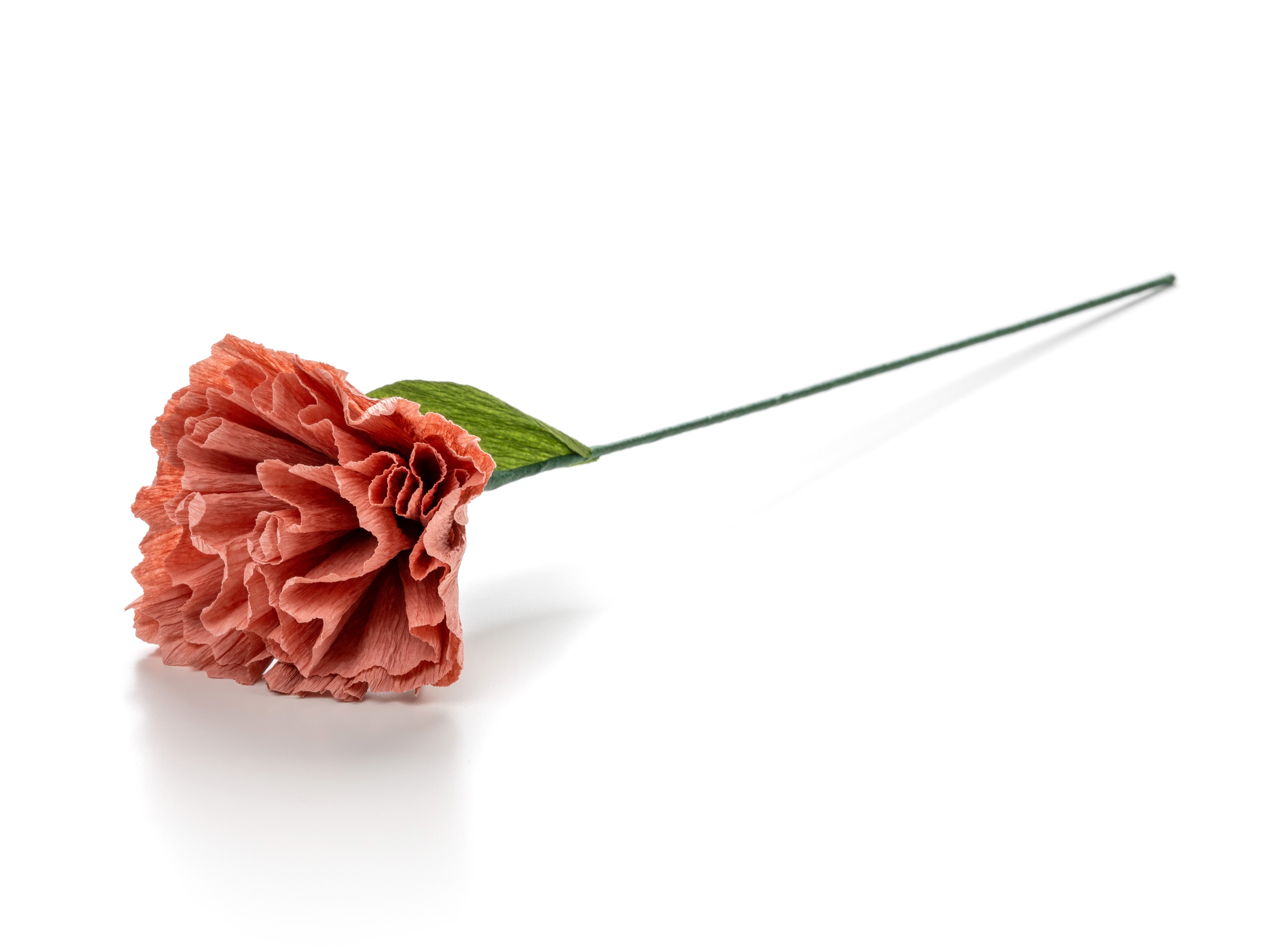 Pappersblomma - Pion