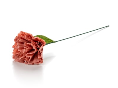 Papierblume - Pfingstrose