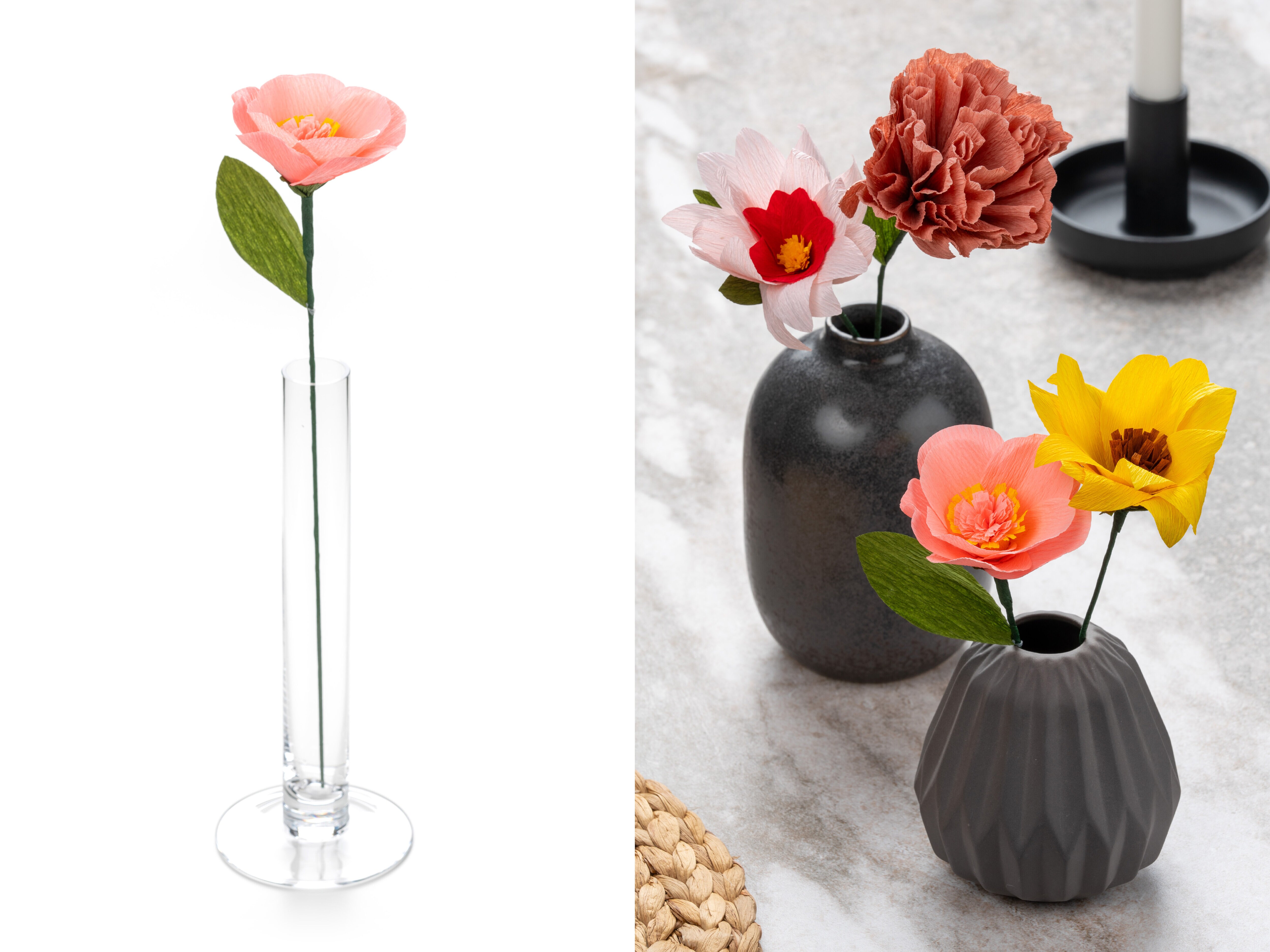 Paperikukka - Kamelia