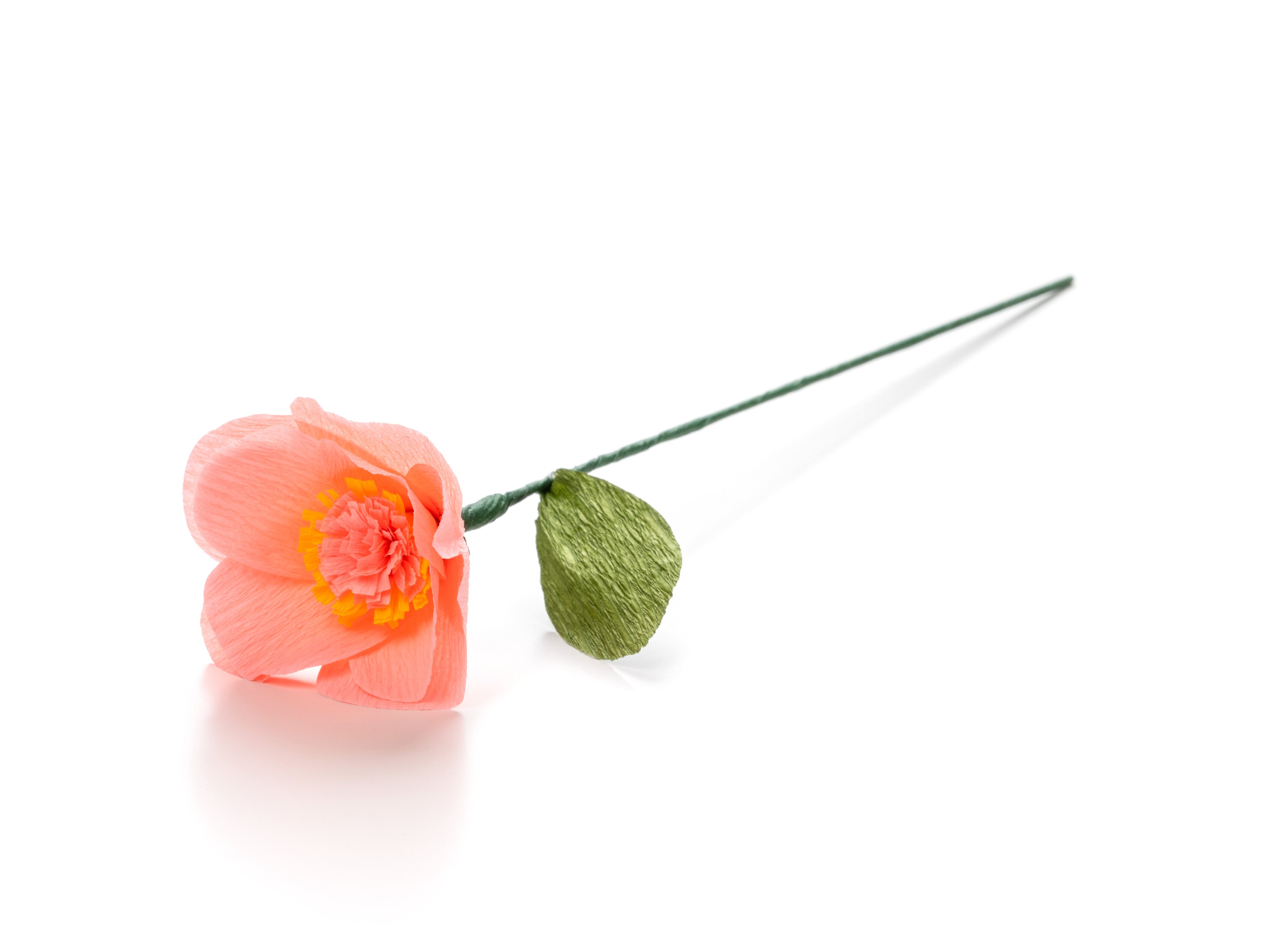 Paperikukka - Kamelia