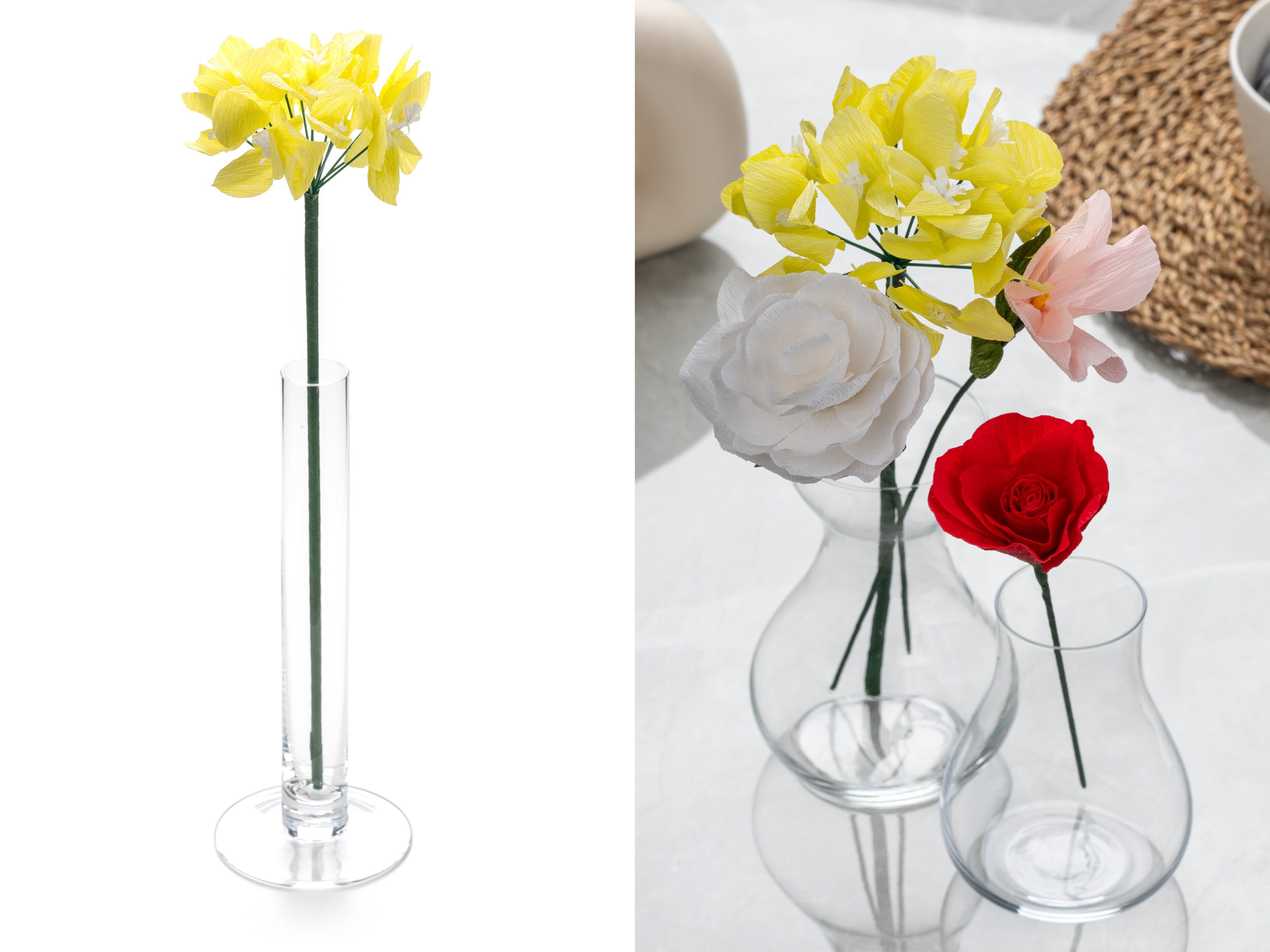 Papirblomst - Hortensia