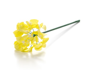 Papirblomst - Hortensia