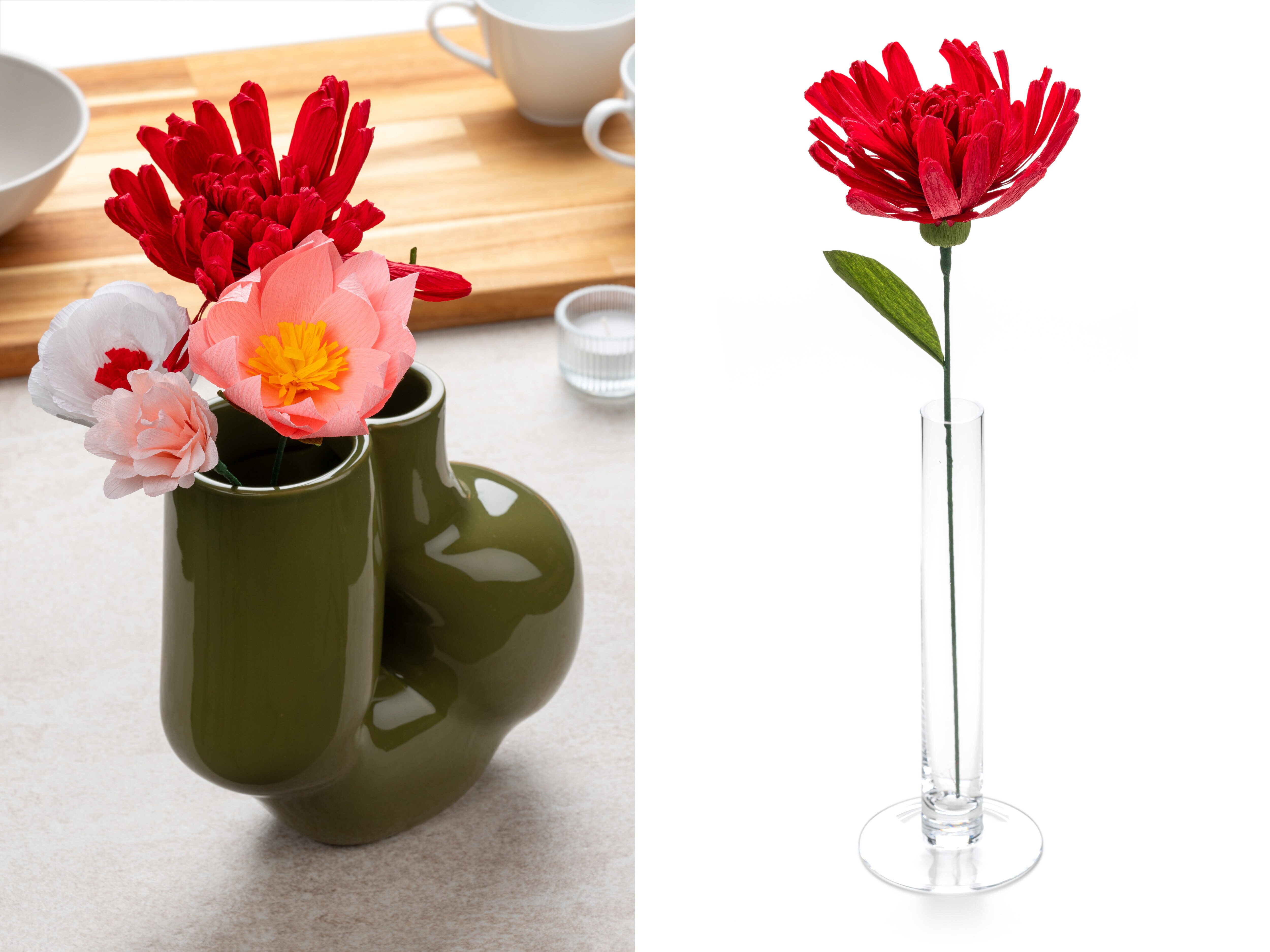 Papirblomst - Krysantemum