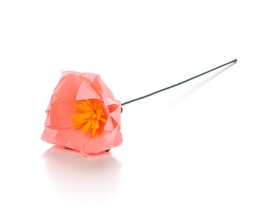 Paperikukka - Lootus