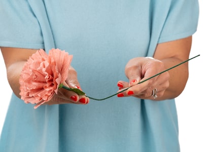 Papirblomst - Lisianthus