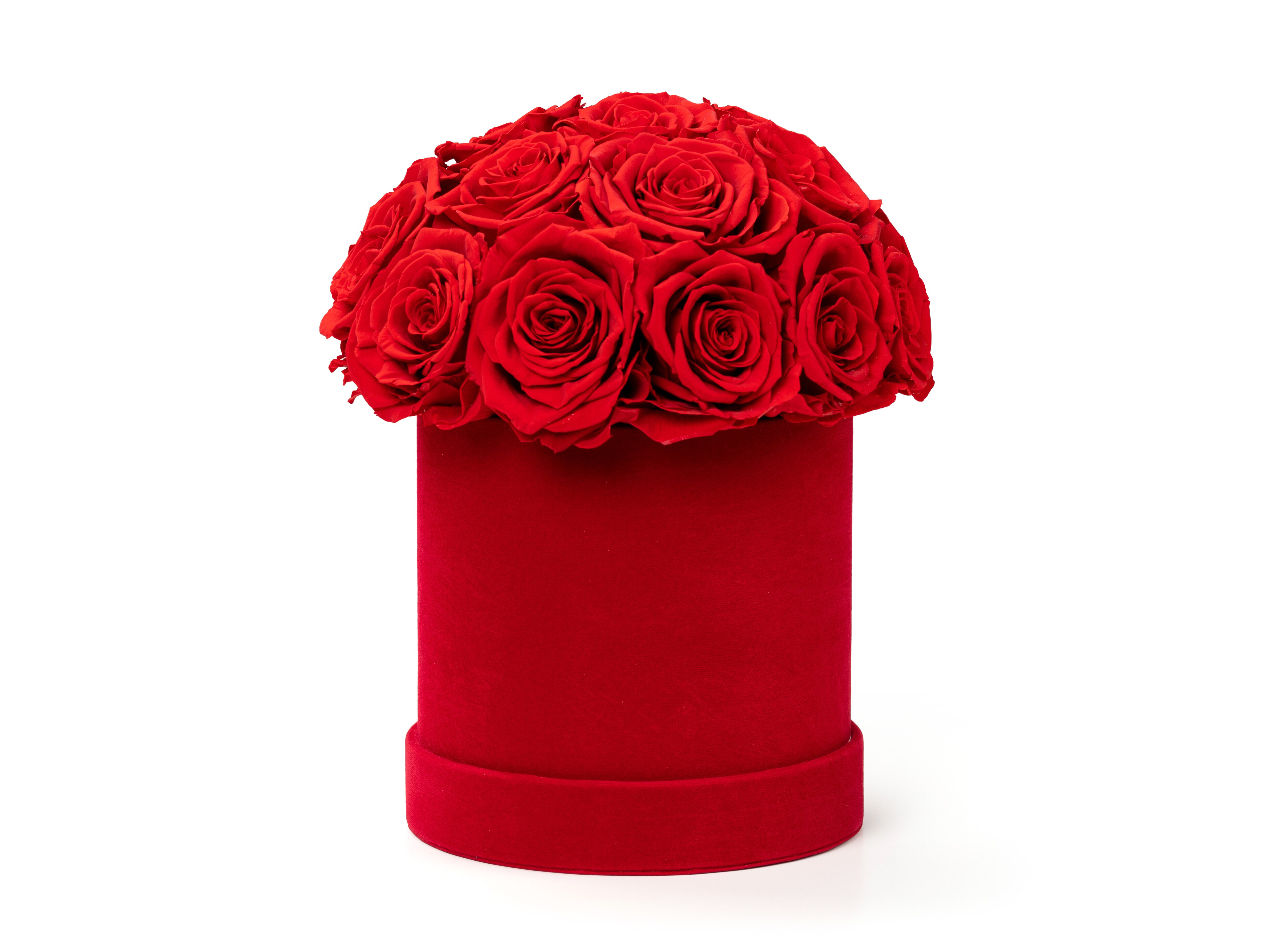 kimppu ikuisilla ruusuilla