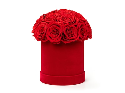 valentinsgave