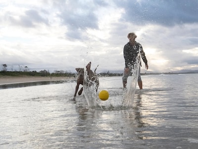 waboba fetch
