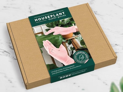 Houseplant Duster Gloves