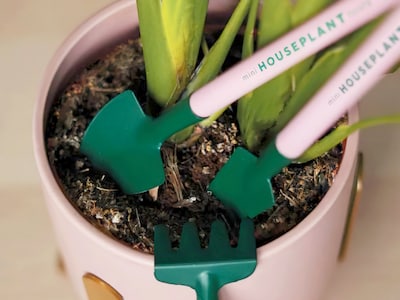 Mini Houseplant Tools