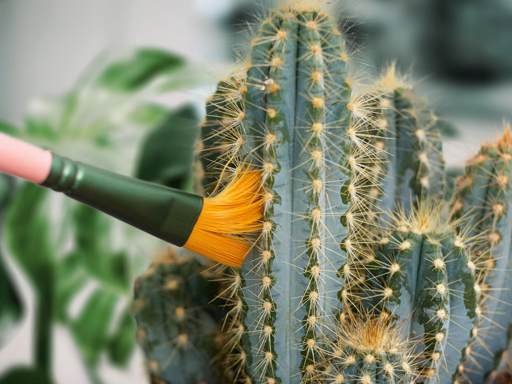 Mini Cactus Cleaners