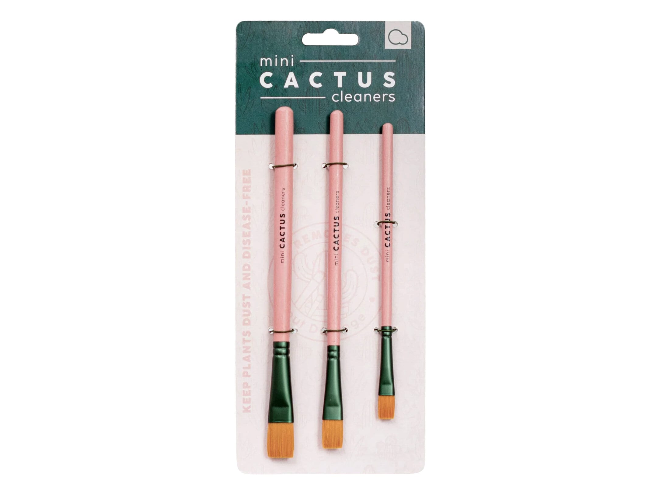 tørre støv af planter