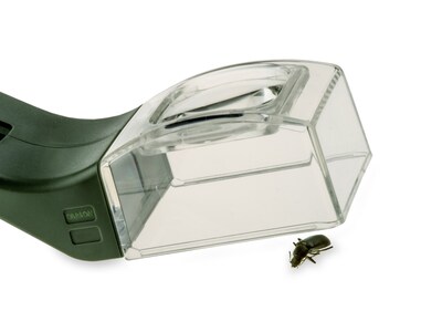 förstoringsglas för insekter