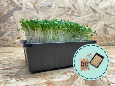 mikrogården odlingskit