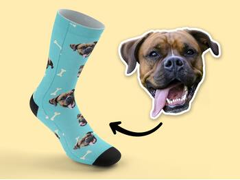 Personlige sokker med foto - Hund