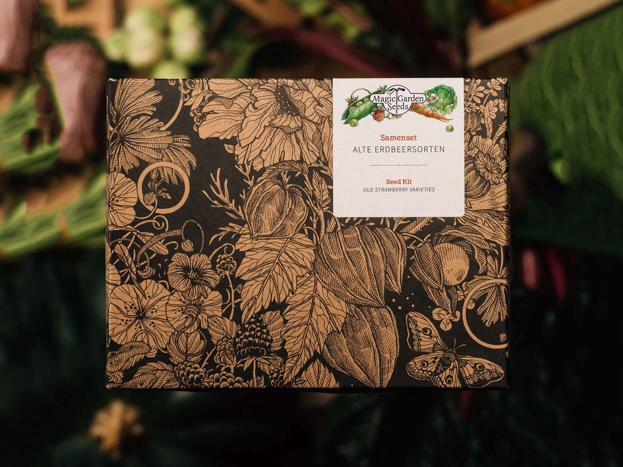 odla jordgubbar frö