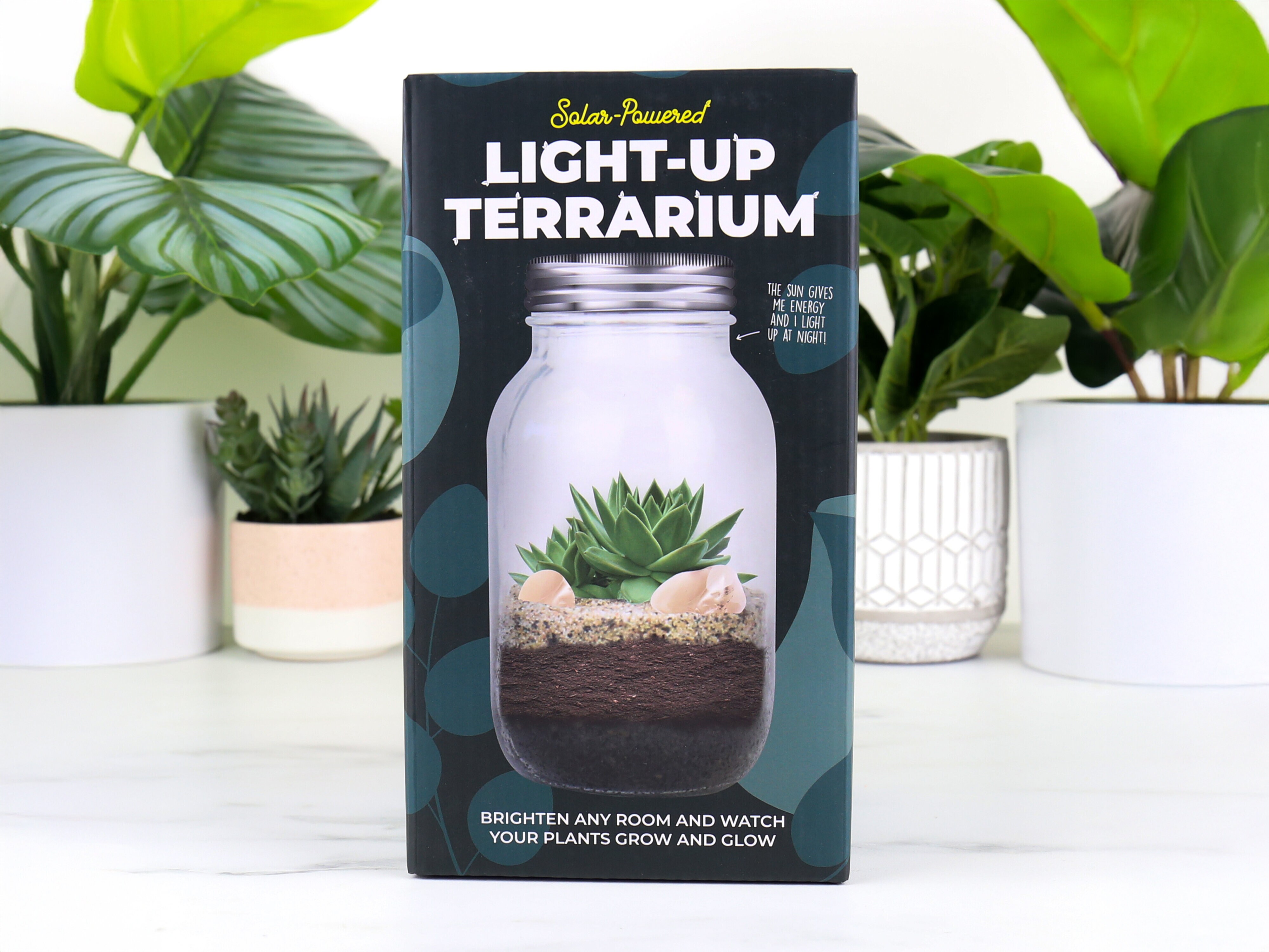 Solcelledrevet Terrarium