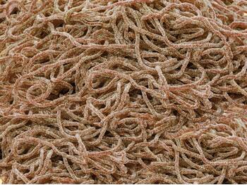 Spaghetti Cola Irtokarkit 1 kg