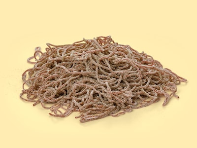 Spaghetti Cola Bland-selv slik i kasser 1 kg