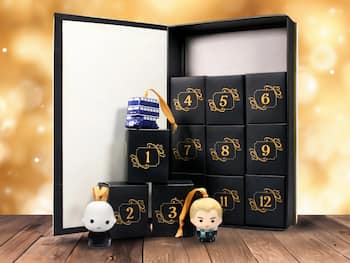 Harry Potter Adventskalender - Julgranspynt