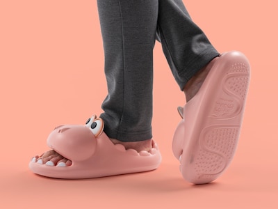Dino Slippers