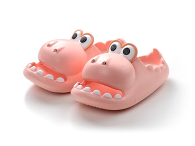 Dino Slippers