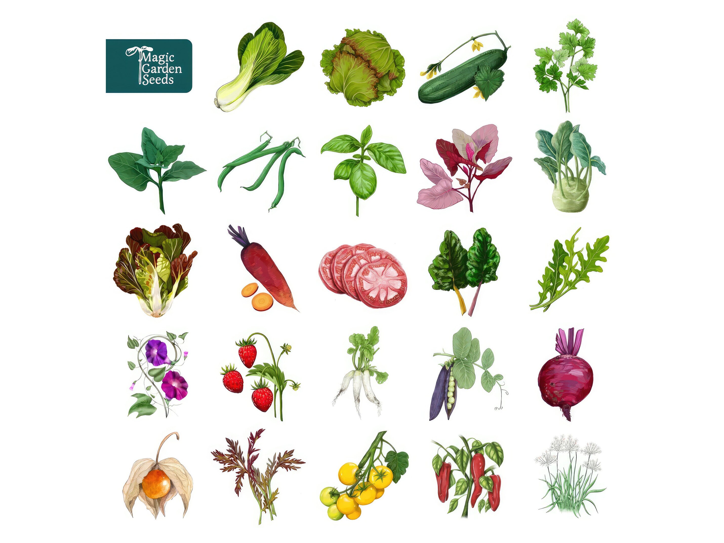 Your Garden in the City - Magic Garden Seeds Julekalender