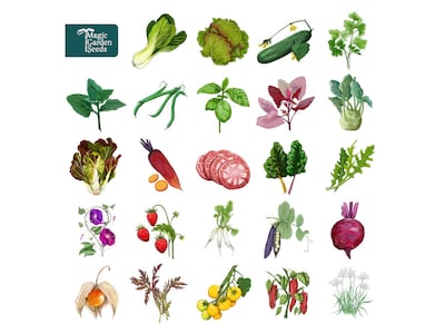 Your Garden in the City - Magic Garden Seeds Julekalender