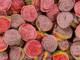 Regenbogenrollen Süßigkeiten 3 kg