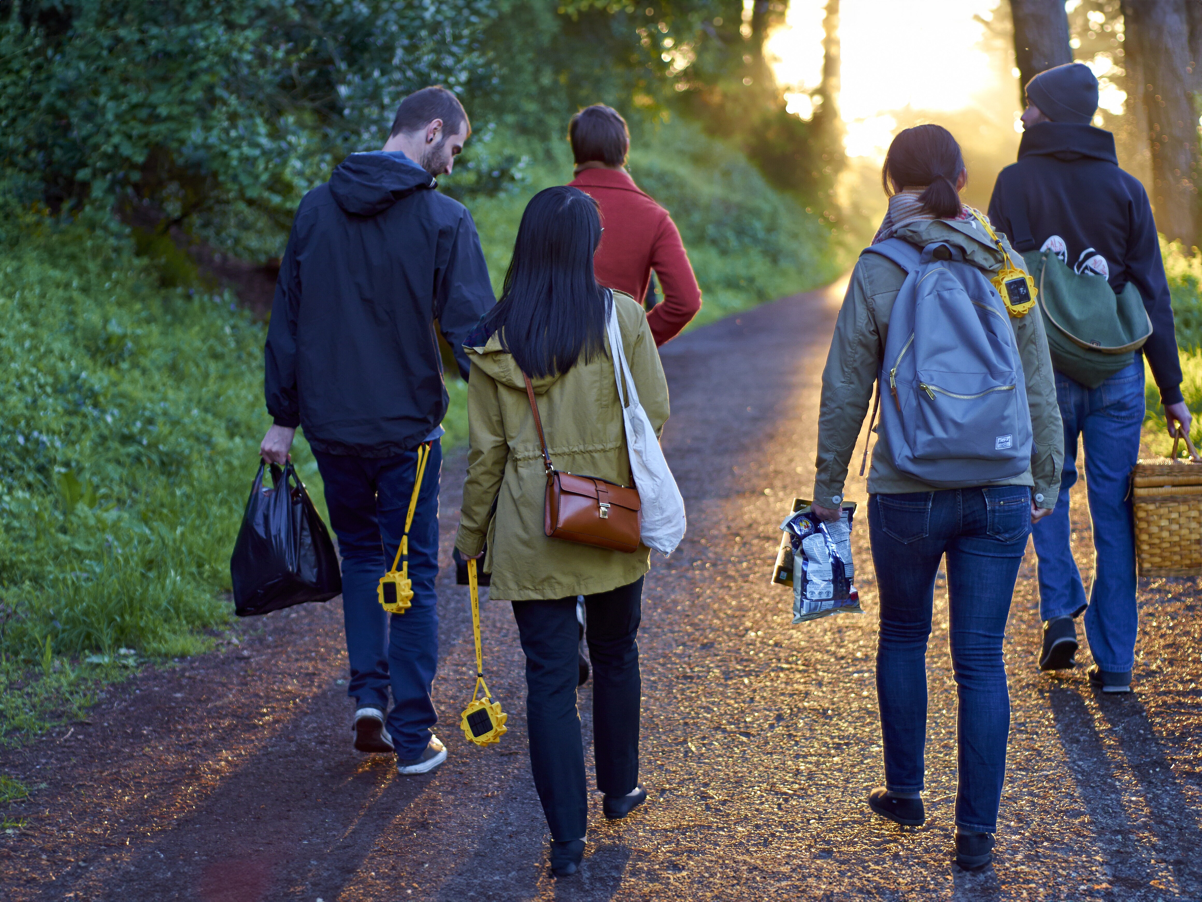 Aurinkokennovalaisin - Little Sun