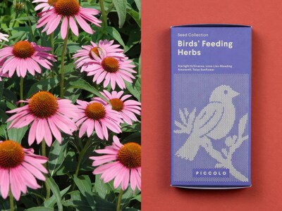 Frösamling - Mata Fåglarna