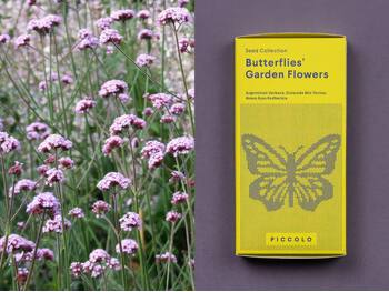 Saatgutsammlung - Blumen der Schmetterlinge