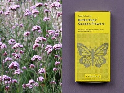 Frösamling - Fjärilarnas Blommor