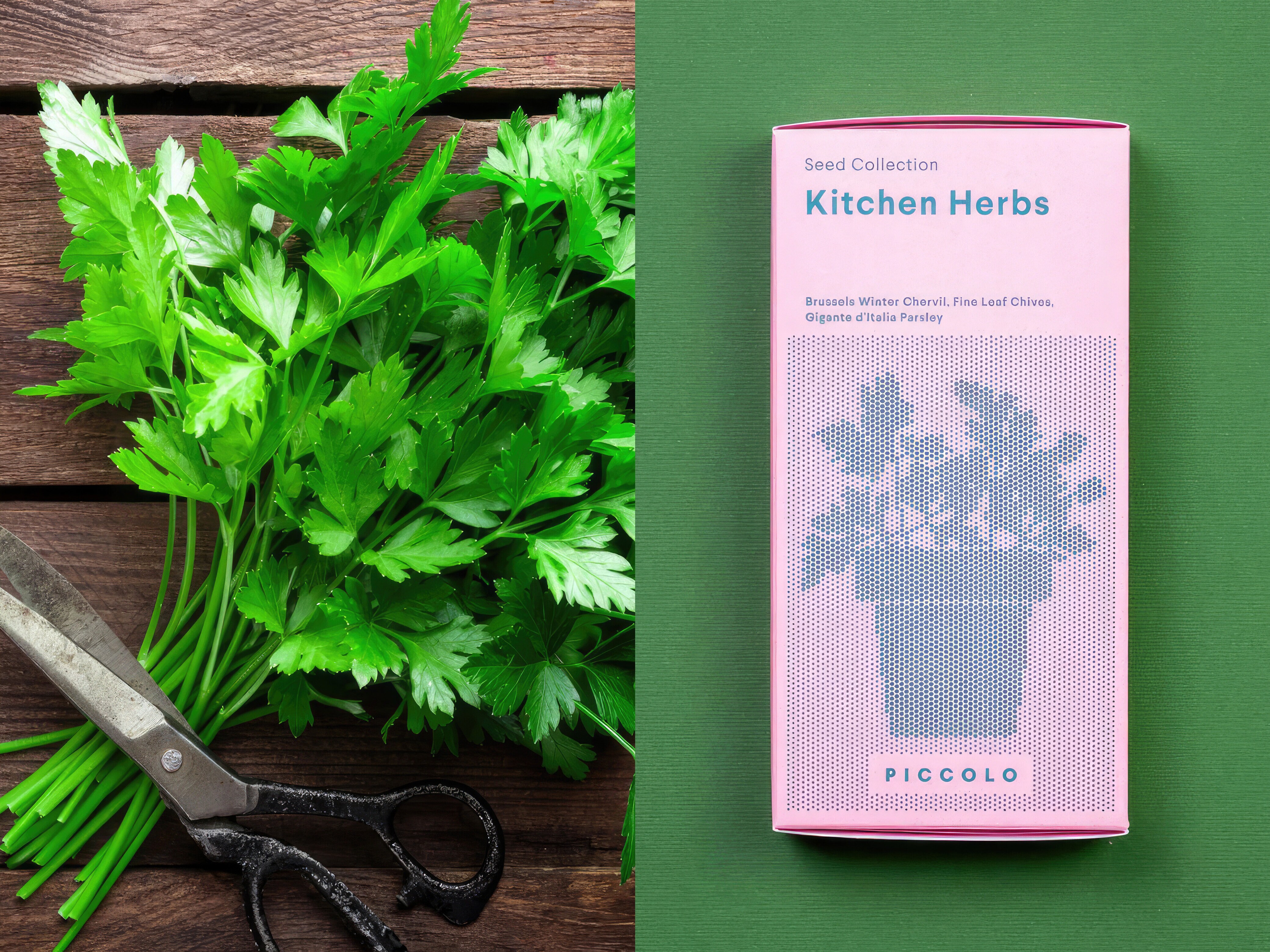 Saatgutsammlung - Kräuter für die Küche