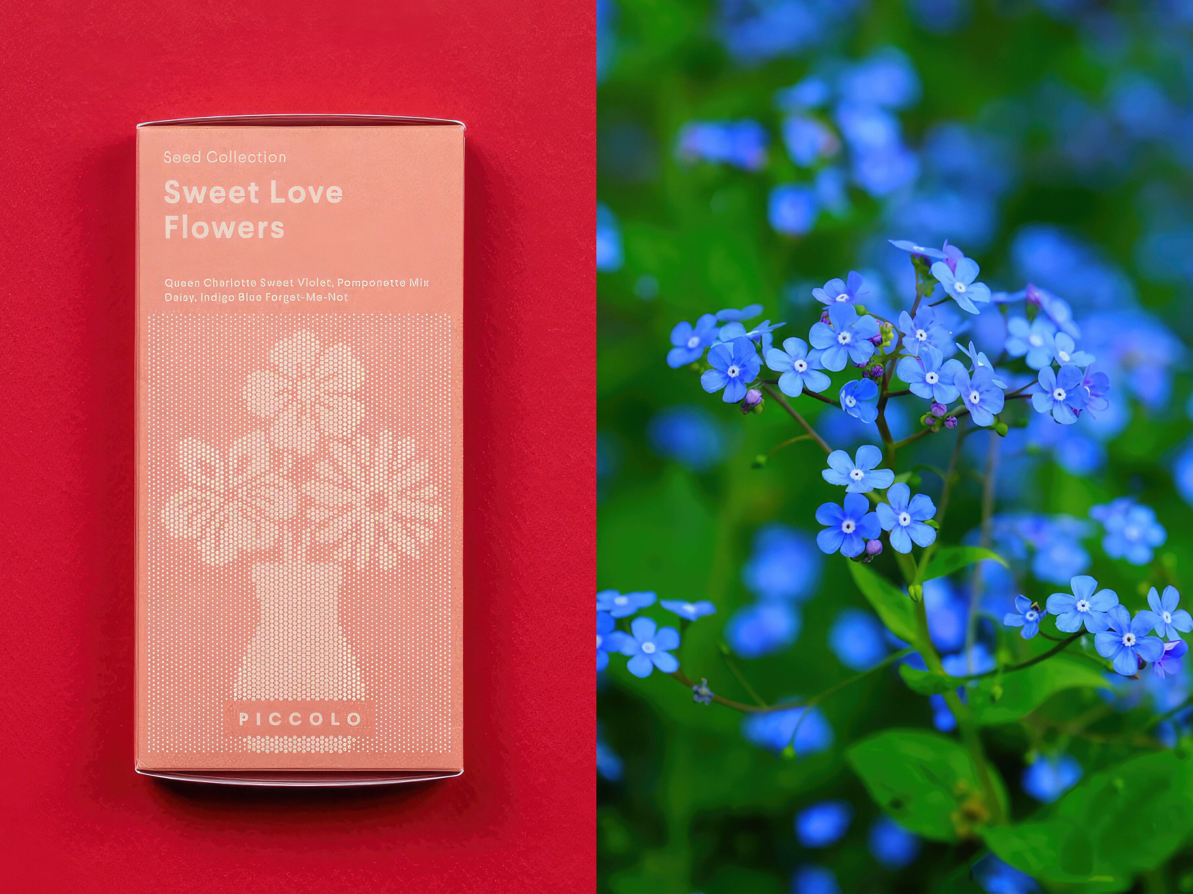 Frøsamling - Kærlighedsblomster