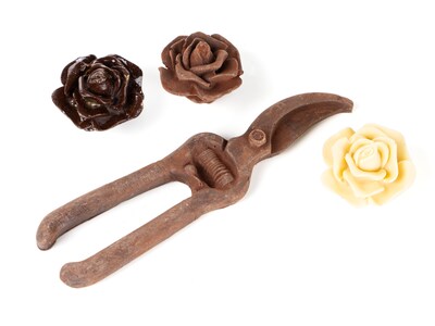Chokoladeæske med sekatør og roser