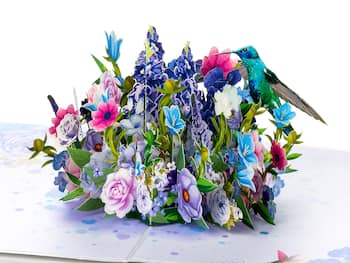 Pop Up -kortti - Kolibri